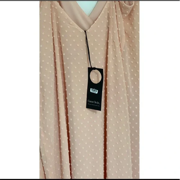 Privacy Please Rasika Gown in Blush Small and Medium Size - Picture 8 of 16